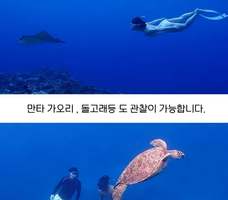 1eeed085-25bd-4b97-99d7-677440e0c380