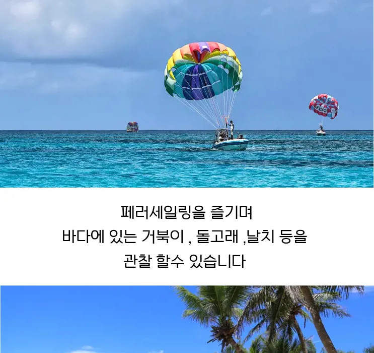 01e2b09f-b9a4-4d44-b20e-e33e59abbbf5