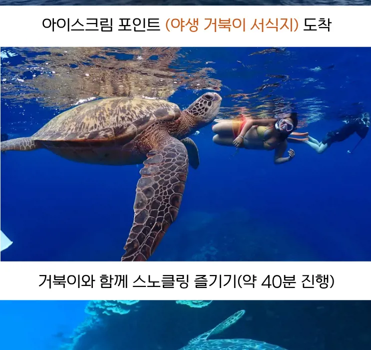 402c5e08-e593-4f30-86db-d2b57ebf67d8