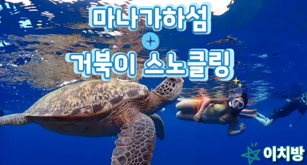 타임딜